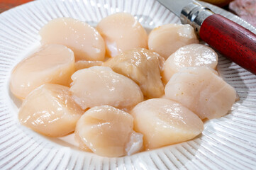 Atlantic bay cleaned scallops coquille St. James sea shells, catch of the day in Normandy or Brittany, France