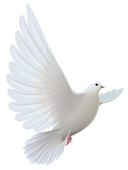 dove of peace