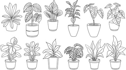 Houseplants. Vector set of outline drawings plants, succulents in pot. Indoor exotic flowers with stems and leaves. Monstera, ficus, pothos, yucca, dracaena, cacti, snake plant for home and interior