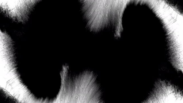 abstract background reveal horror paranormal background artistic grunge artistic flow splatter texture overlay spread inkblot effect grimy creepy intro black and white	
