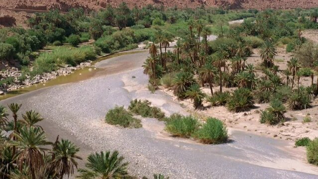 Ziz Valley In Morocco: One Of The Largest Oases In The World. The valley is crossed by the river with the same name (River Ziz Ghriss or Oued Ziz Ghriss)