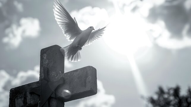 Close-up of a cross with a dove flying in the background