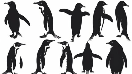 Obraz premium Set of black silhouettes featuring different poses and species of penguins