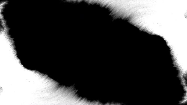 abstract background reveal horror paranormal background artistic grunge artistic flow splatter texture overlay spread inkblot effect grimy creepy intro black and white	

