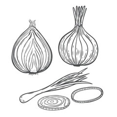 Onion rings and vegetable vintage vector illustration.