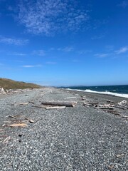 Rocky beach and driftwood at San Juan Island 