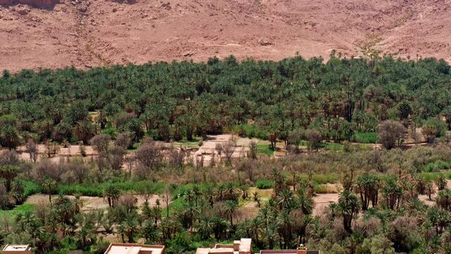 Ziz Valley In Morocco: One Of The Largest Oases In The World. The valley is crossed by the river with the same name (River Ziz Ghriss or Oued Ziz Ghriss)