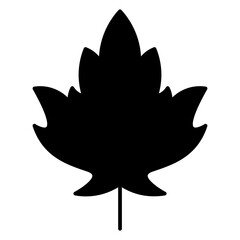Maple leaf