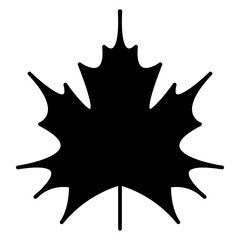 Maple leaf