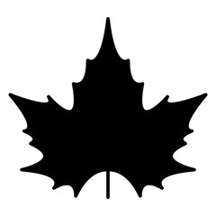 Maple leaf