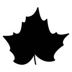 Maple leaf