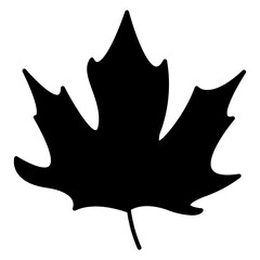 Maple leaf