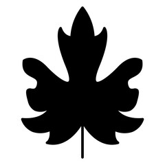 Maple leaf