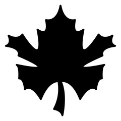 Maple leaf
