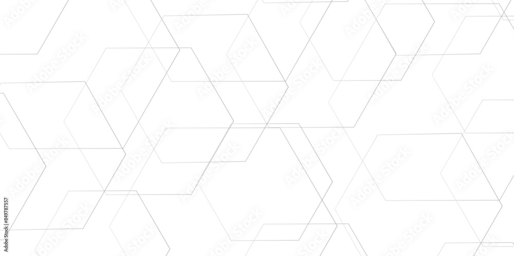 Wall mural Abstract minimal geometric white and gray light background design. Vector illustration of hexagons pattern. luxury white pattern geometric mesh cell texture.  Modern pattern elegant gray line template