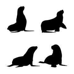 Set of Sea Lion Silhouettes