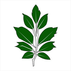 Printbranched leaf vector