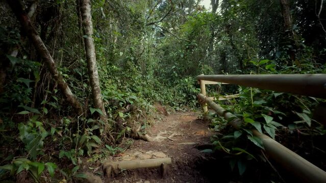 Colombian rainforest Arvi park Medellin