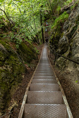 Fototapeta premium Panoramic view from Lake Bled, beauty heritage in Slovenia. Island with church and castle in the background create a dream setting. View from Ojstrica and Mala Osojnica with the heart-shaped bench.
