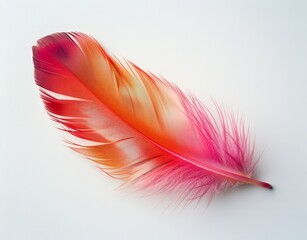 Bird Feather with Red Tip