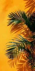 Closeup of tropical palm leaves casting shadows on vibrant orange wall