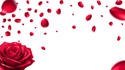 Happy Valentine's day love day Singapore and  summer valentine brazil background. Luxury flower design with rose flower texture illustration . Mesh Gradient was used