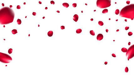 Happy Valentine's day love day Singapore and  summer valentine brazil background. Luxury flower design with rose flower texture illustration . Mesh Gradient was used