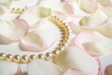 バラの花びらの上のパールネックレス　天然本真珠