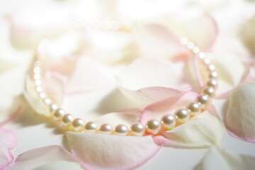 バラの花びらの上のパールネックレス　天然本真珠