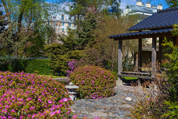 Japanese garden in landscape design