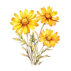 Naklejka premium Blooming Brittlebush Watercolor of Desert Plant With Vibrant Yellow Petals