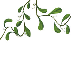 green leaves background