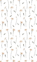 Set of daisy flower pattern