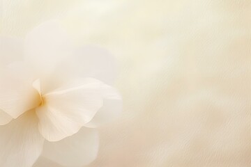 Obraz premium white orchid flower made by midjourney