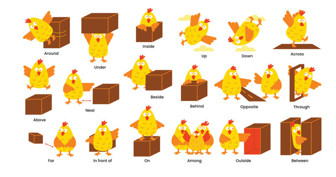 Preposition. Learning english prepositions with cute chicks. preschool educational poster with cartoon pet, language grammar study decent vector banner, topologia language, grammar vocabularies.