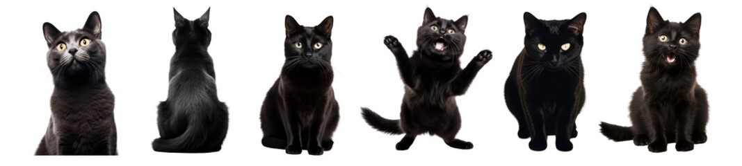 Cute black cat png cut out element set
