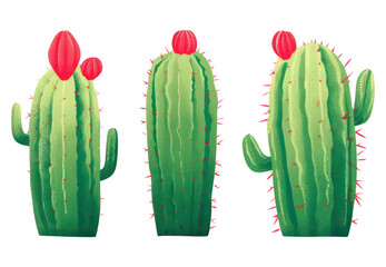 Illustration cactus with flowers set