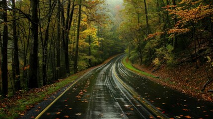 Captivating autumn beauty on roads less traveled, offering scenic views of nature s splendor