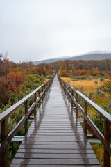 Ushuaia is described as the southernmost city in the world. Ushuaia is located in a wide bay on the southern coast of Isla Grande de Tierra del Fuego.