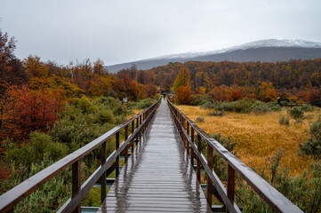 Obraz premium Ushuaia is described as the southernmost city in the world. Ushuaia is located in a wide bay on the southern coast of Isla Grande de Tierra del Fuego.