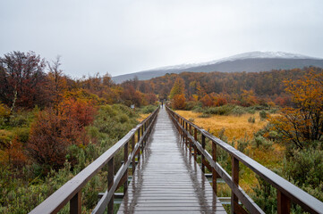 Naklejka premium Ushuaia is described as the southernmost city in the world. Ushuaia is located in a wide bay on the southern coast of Isla Grande de Tierra del Fuego.