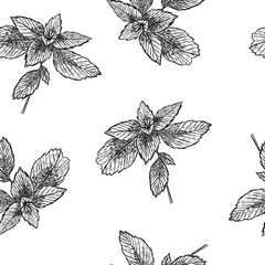 Seamless pattern with mint leaves in hand drawn sketch style © Yulia Zelinskaya