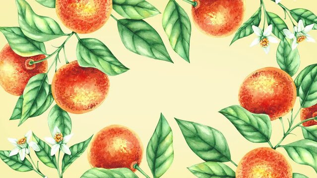Watercolor tangerine square hand-drawn frame. Citrus fruits mandarin with leaves, flowers, fruits video with gradually appearing elements