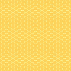 Honeycomb filled with honey