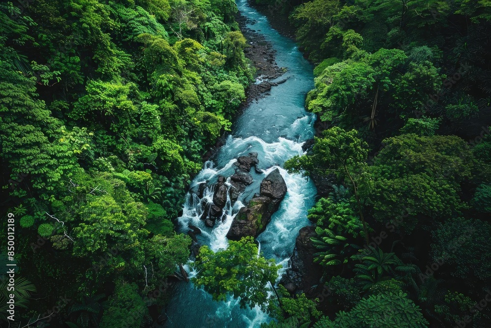 Poster aerial view of a lush green forest with a crystal clear river cascading through rocks, surrounded by