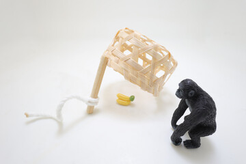 the scale trap that catches the ape