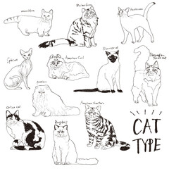 ネコの種類別イラスト