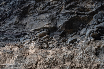 Kaneana Cave (Makua Cave), Leeward Coast of Oahu, Hawaii geology.  Waianae Volcanics Basalt. Alluvium	