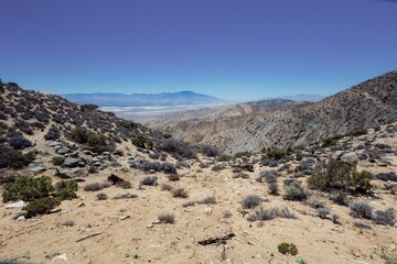 Desert landscape of Joshua Tree National Park, California, United States of America.
