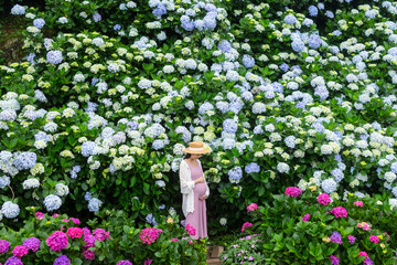 Pregnant woman hold with her tummy in Hydrangea flower garden